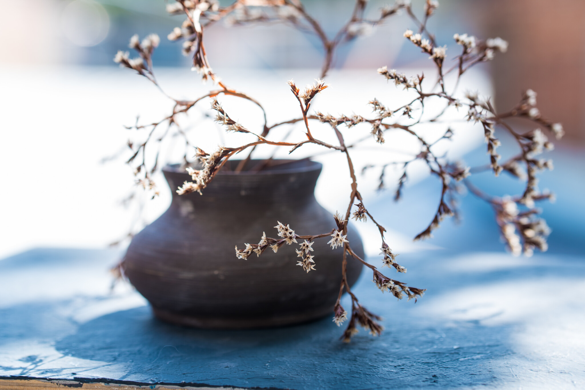 Beautiful still life with a dark vase and a dry branch with flowers in it interior decoration